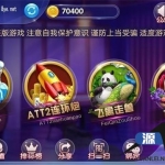 【独家首发】七月最新更新38G服务器运营版打包+天府电玩三端电玩完整版本+完整数据_