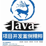 Java项目开发案例精粹PDF_游侠源码网