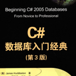 C#数据库入门经典（第3版）（姜玲玲）中文pdf_游侠源码网