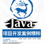 Java项目开发案例精粹_游侠源码网