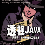 透视JAVA：反编译、修补和逆向工程技术_游侠源码网
