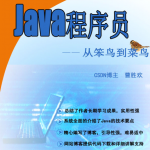 《java程序员由菜鸟到笨鸟》PDF下载_游侠源码网