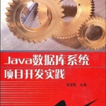 《Java数据库系统项目开发实践》PDF下载_游侠源码网