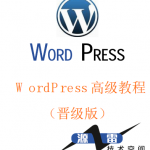 WordPress高级教程（晋级版）中文PDF_PHP教程_游侠源码网