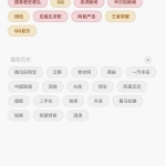 VIP商用手机app搜索查找页面模板_游侠源码网