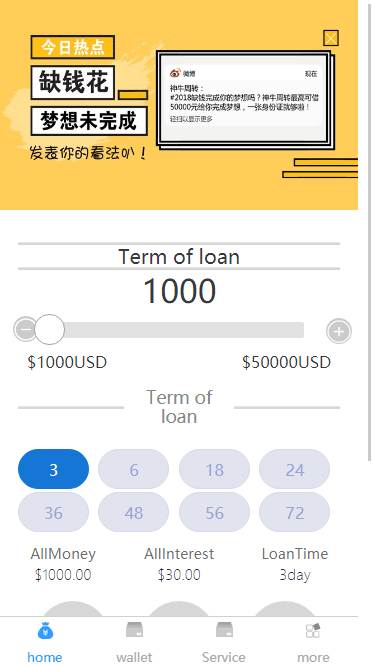 英文版小贷