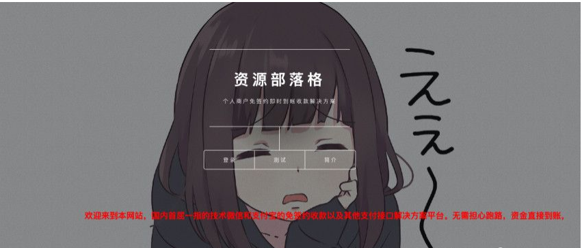 据说价值4K的第三方支付平台源码商业支付源码