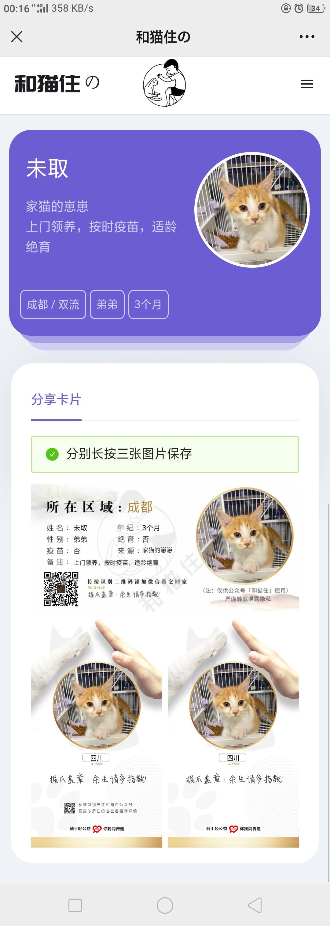 最新流浪猫流浪狗H5完整运营源码下载/可封装APP