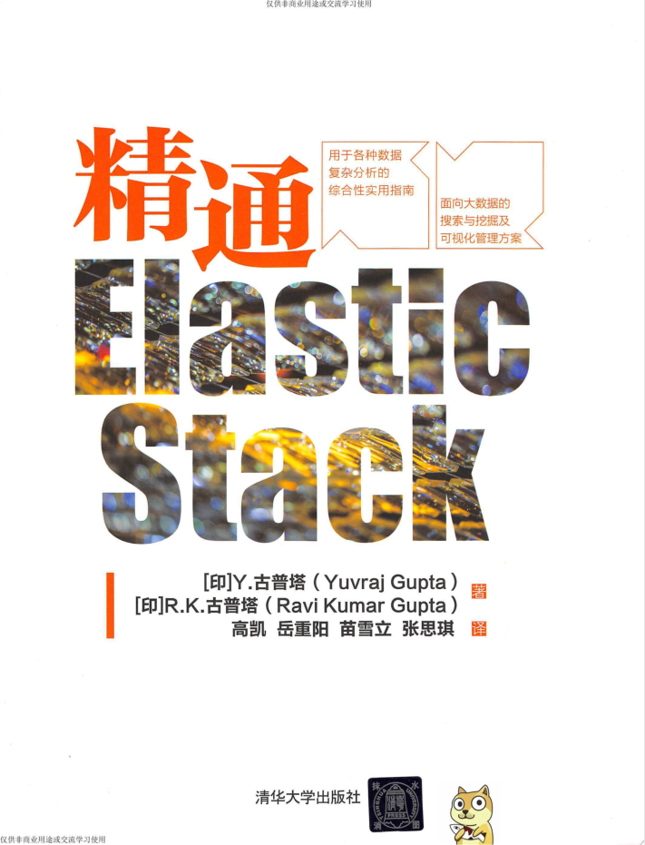 精通ElasticStack