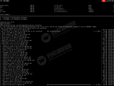 linux版本KK搭建视频教程+文字教程
