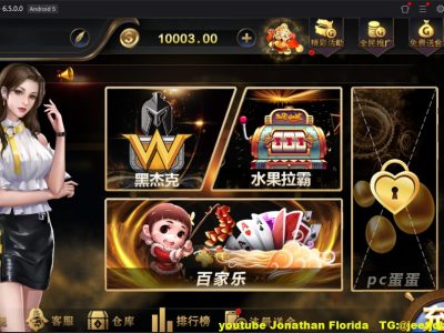 最新海盗王微星二开新版UI+排行榜+全民代理+双端APP+完整数据库