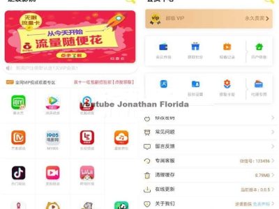 影视APP,在线观看原生双端影视APP在线视频VIP解析系统源码-源码下载