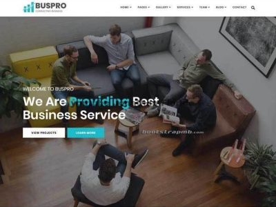Bootstrap商业保险公司网站模板