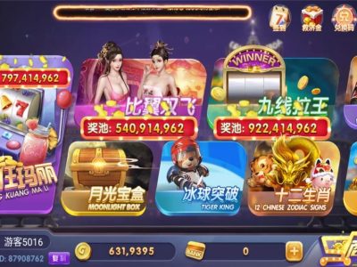 【终身会员免费】91电玩城荣耀二开组件28个子游戏+带独立pc端