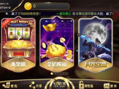 TNT永盛娱乐电玩城完整服务器打包数据+双端app正常+服务器授权文件带超端点控
