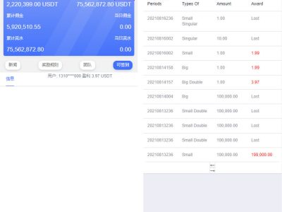 【两套】双语言版虚拟币投资系统USDT充值源码+出海源码英文版