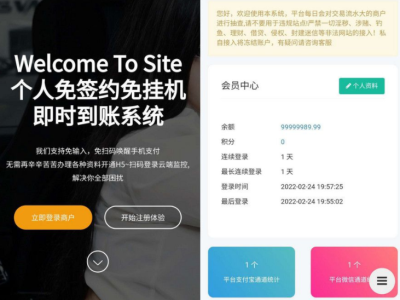 2022年最新码/源支付3.1版本全开源版+店员监控软件+手机监控APP源码