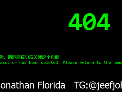 一款代码自动输入效果404页面源码