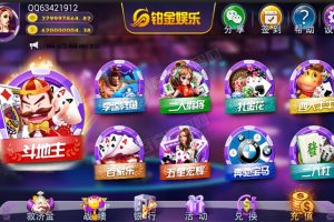 铂金娱乐棋牌完整组件完善代理系统+邀请码+双端APP