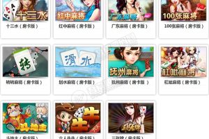 【棋牌源代码】网狐全套共165款子游戏源码适合网狐定制二开
