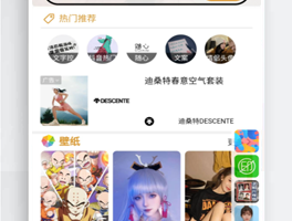 【壁纸小程序源码】双端微信抖音小程序