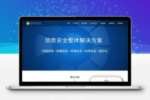 织梦响应式数据信息安全类网站织梦模板(自适应手机端)