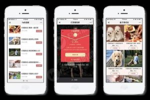 【最新修复版】视频打赏系统DS正版V15代理商功能+试看功能+多种免签支付接口+防封功能
