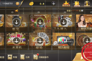 【源码】微星源码，非市面版本，完整数据+全民模式保底+工程文件+双端源码齐全