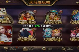 【精品棋牌】最新一夜暴富天马电玩城完美服务器打包版本+完整数据+游戏众多
