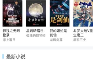 狂雨小说cms一键搭建自带采集，内置搭建教程和采集器及采集接口