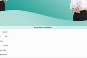 一款好看的新网站发布导航页源码