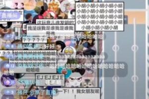10015/抖音最近很火的游戏无人直播：挤地铁教程+源码+软件下载