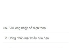 10034/二开越南语投资理财金融理财众筹程序