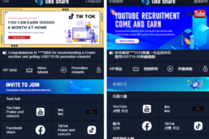 2021最新十二种语言点赞抖音脸书tiktok分享点赞任务系统源码