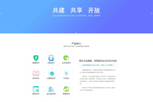 风吹雪支付系统易支付去后台验证版本代理系统个人易支付完整可运行网站源码
