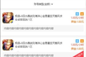 王者荣耀代练/租号/账号交易/皮肤交易/系统源码