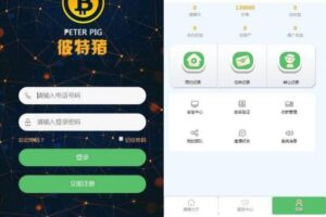 2020运营版华登彼特猪区块系统源码猪猪传说区块链源码