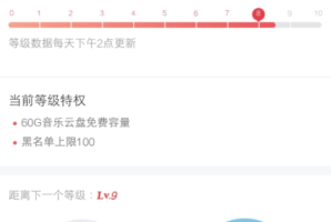 [搬砖]网易云音乐打卡300首修复版