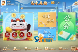 惠来麻将惠州麻将完整房卡棋牌组件