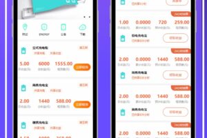 共享充电宝2.0系统源码仿云海广告云点机器人挂机赚钱+安装视频教程+对接码支付