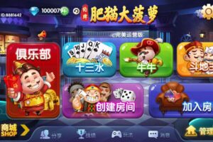 肥猫大菠萝完整全套，安卓+IOS+全套数据，房卡合集版本