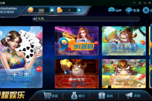316/荣耀娱乐棋牌组件运营版服务器打包
