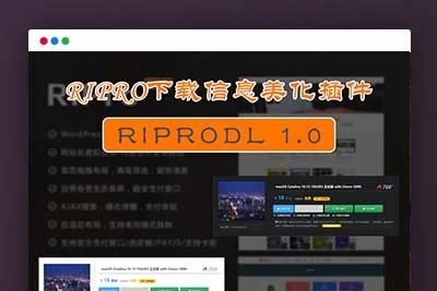 C093WordPress主题_ripro美化子主题_全站美化子主题