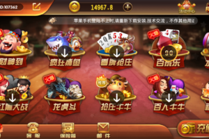 最新更新云尖万利服务器打包版本+完整数据+解密双端