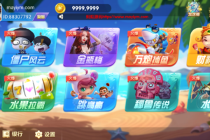 网狐系列911电玩