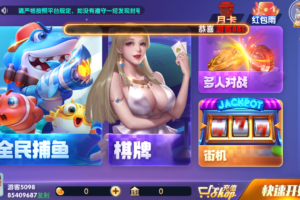 网狐系列728电玩