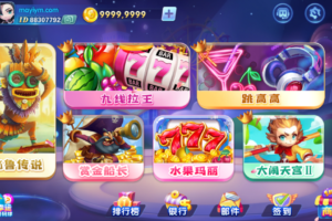 网狐系列街机王电玩