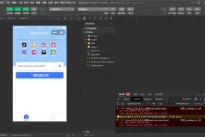A2103快速去除短视频水印微信小程序带后台工具应用程序源码可限制次数带流量主