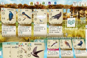 展翅翱翔/WINGSPAN