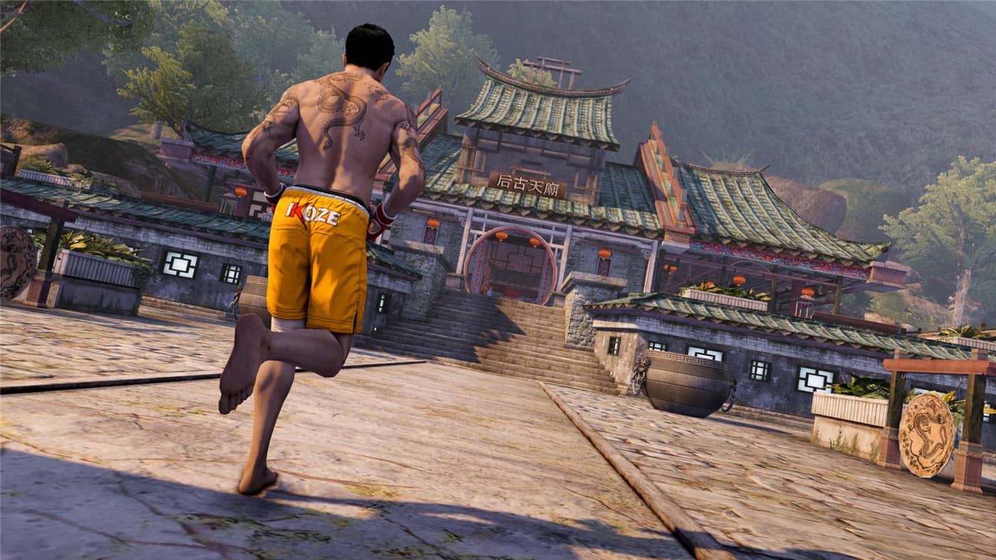 热血无赖:终极版/Sleeping Dogs: Definitive Edition 热血无赖:终极版/Sleeping Dogs: Definitive Edition